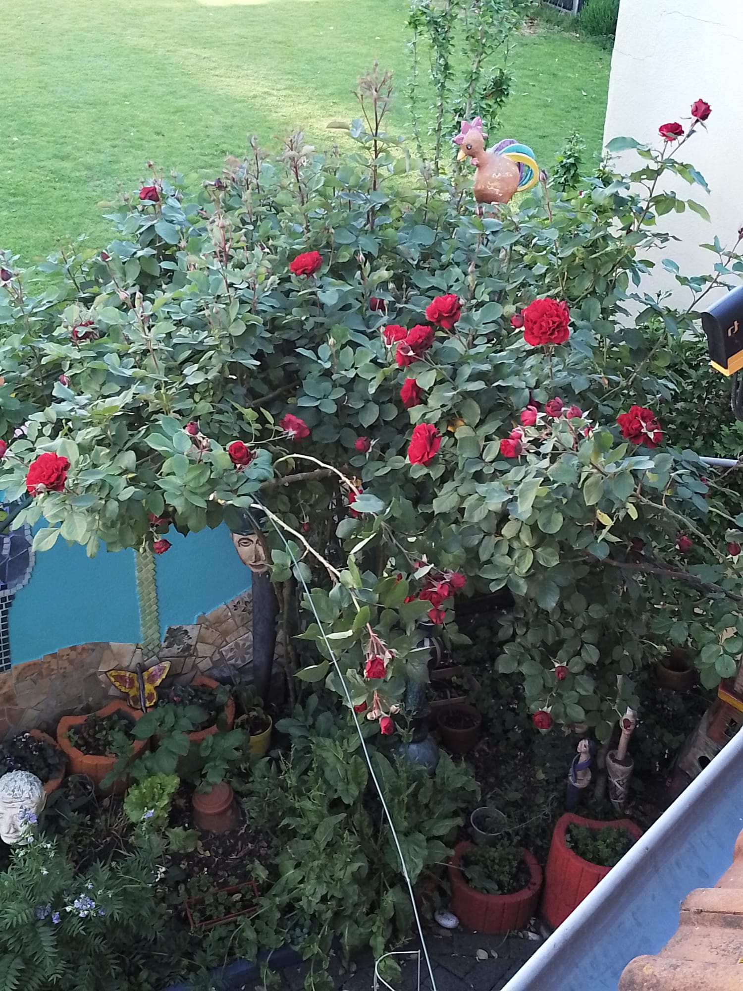 Garten Kloidt (Fotografie)