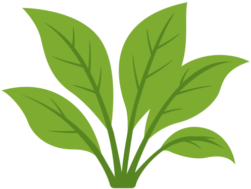 Garten Kloidt (Fotografie)